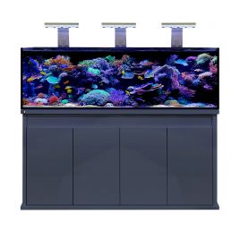 D-D Reef Pro 1800 Aquarium