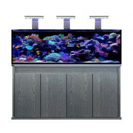 D-D Reef Pro 1800 Aquarium