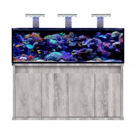 D-D Reef Pro 1800 Aquarium