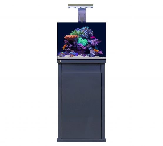 D-D Reef Pro 600 Aquarium