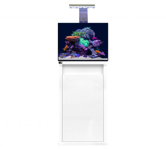 D-D Reef Pro 600 Aquarium