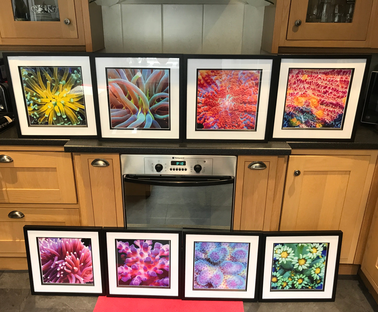 Framed Coral Prints