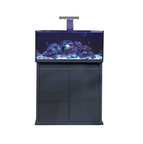 D-D Reef Pro 900 Aquarium