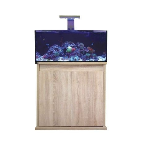 D-D Reef Pro 900 Aquarium