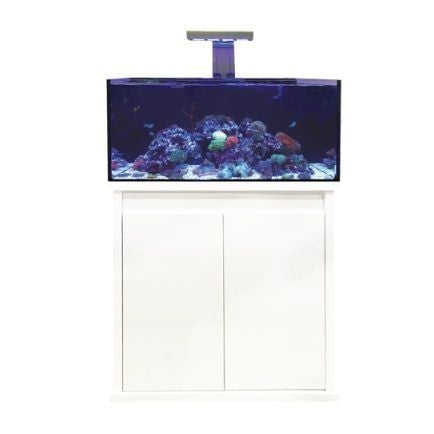 D-D Reef Pro 900 Aquarium