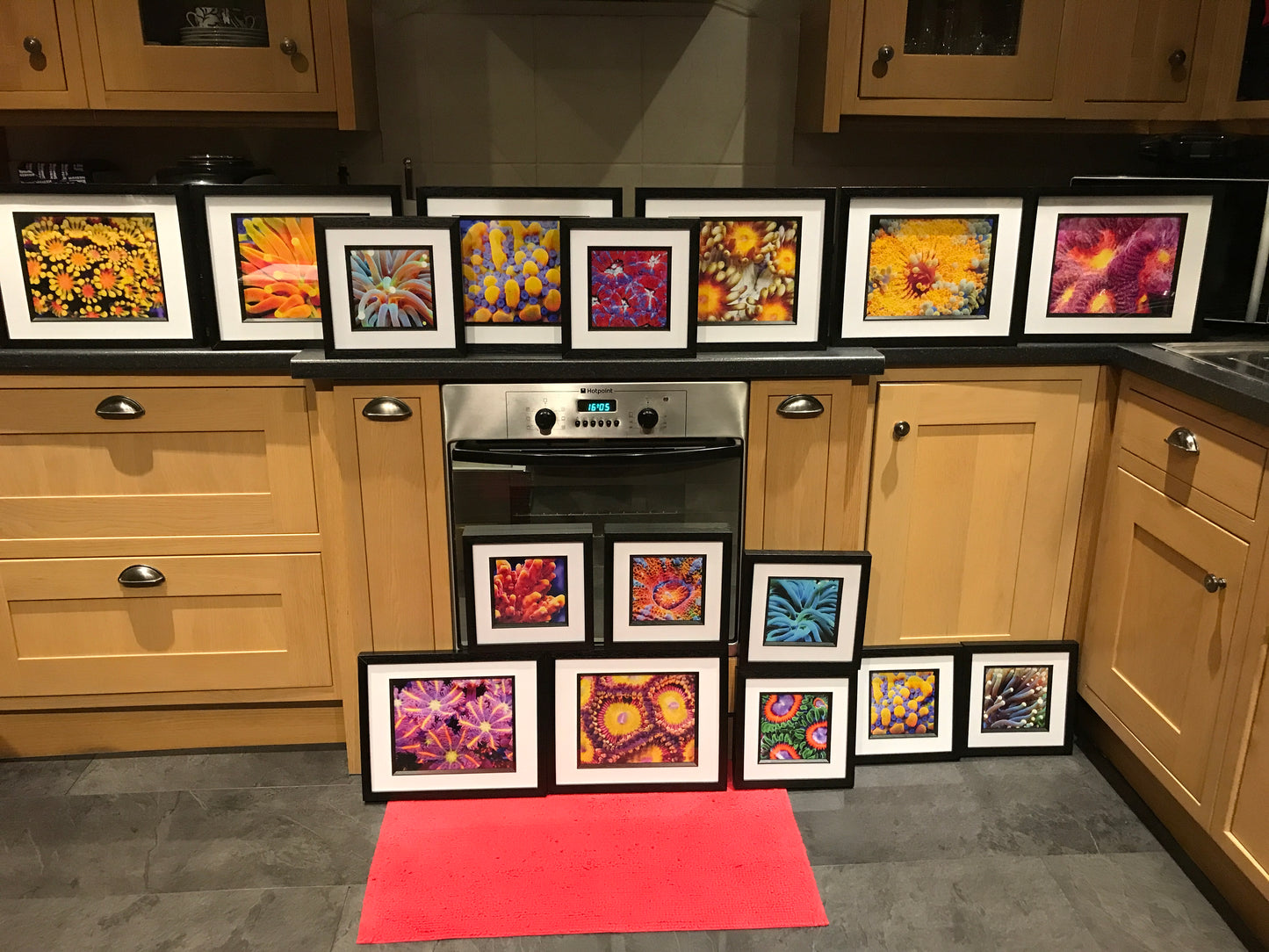 Framed Coral Prints